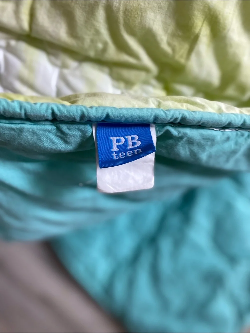Pottery Barn Teen plush quilted